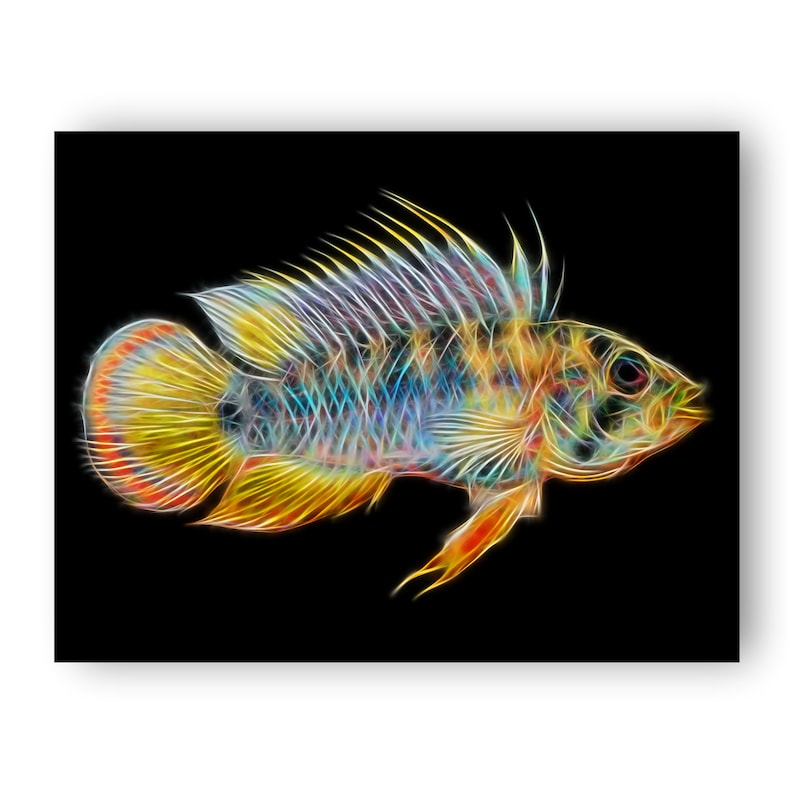 Apistogramma Cichlid Fish Print with Stunning Fractal Art Design. Inca