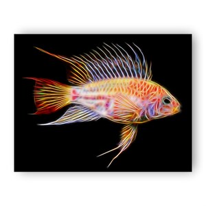 Apistogramma Cichlid Fish Print with Stunning Fractal Art Design. Gold Viejita