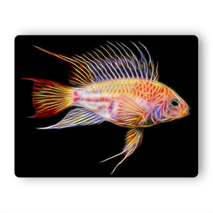 Apistogramma Cichlid Fish Fractal Art Aluminium Metal Wall Plaque. Gold Viejita