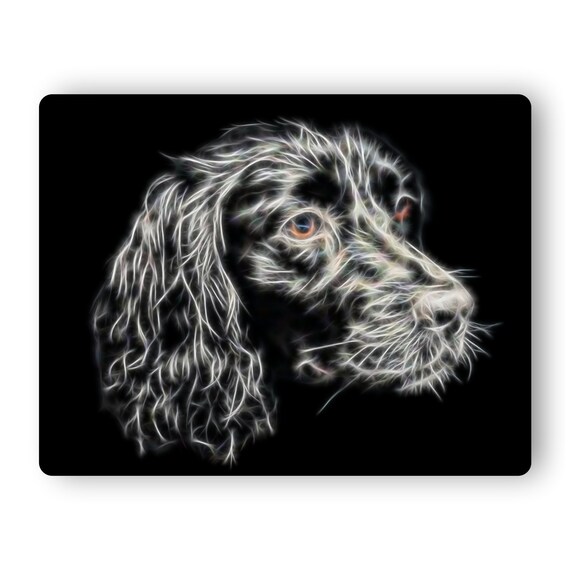 black sprocker spaniel