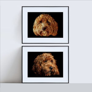 Könnte beinhalten: Zwei gerahmte Schwarzweißfotos eines braunen und weißen Hundes mit lockigem Fell. Das Fell des Hundes ist stilisiert, um wie Lichtlinien auszusehen.