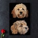 see more listings in the Dog Coasters / Placemats section