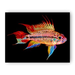 Apistogramma Cichlid Fish Print with Stunning Fractal Art Design. Super Red