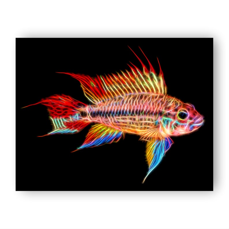 Apistogramma Cichlid Fish Print with Stunning Fractal Art Design. Super Red