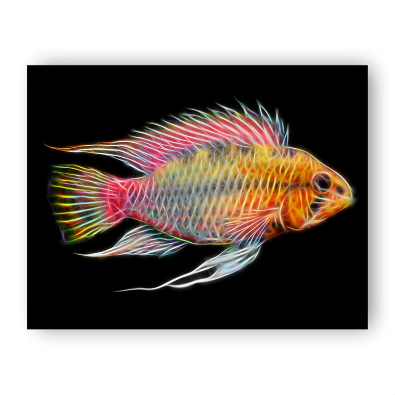 Apistogramma Cichlid Fish Print with Stunning Fractal Art Design. Red Line