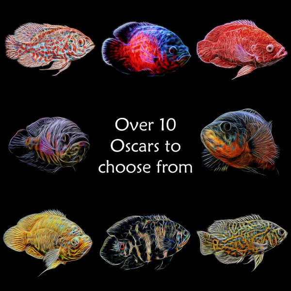 Oscar Cichlid Prints with Stunning Fractal Art Designs.