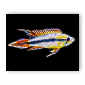 Apistogramma Cichlid Fish Print with Stunning Fractal Art Design. Dwarf