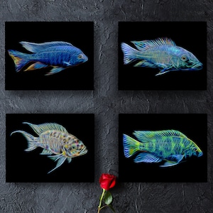 Cichlid Prints with Stunning Fractal Art Design.