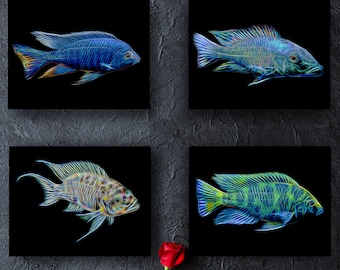 Cichlid Prints with Stunning Fractal Art Design.