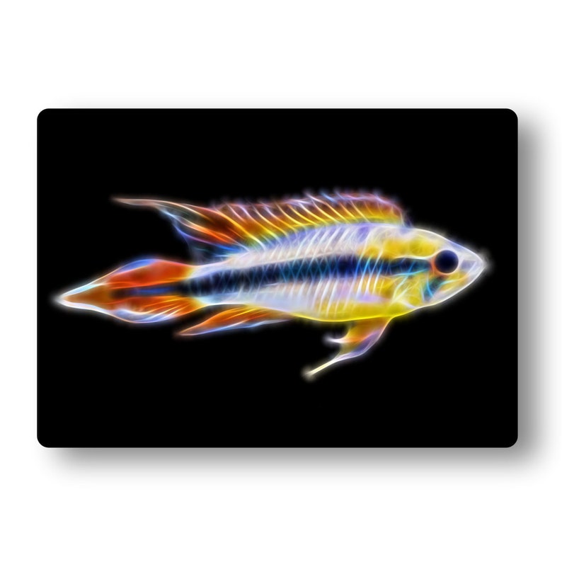 Apistogramma Cichlid Fish Fractal Art Aluminium Metal Wall Plaque. Dwarf