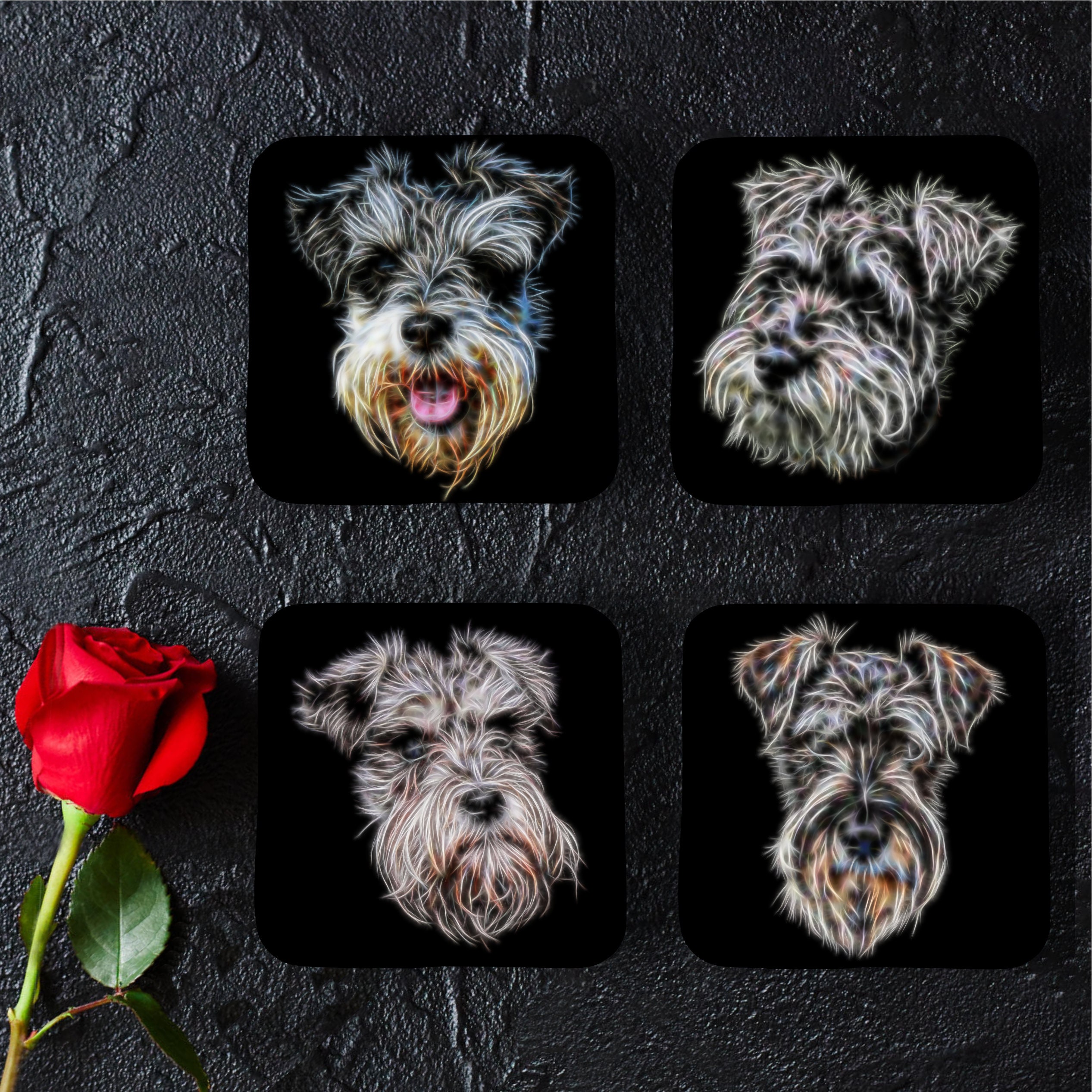 schnauzer coasters