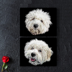 Placa de parede de metal Coton De Tulear com impressionante design de arte fractal