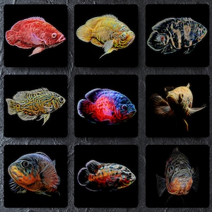 Oscar Cichlid Coaster with Stunning Fractal Art Design. Choose One of 14 Oscar Fish Designs