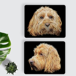 Pode incluir: Duas bases quadradas com fundo preto apresentam uma ilustração estilizada e brilhante do rosto de um cão. Uma base mostra o rosto do cão de frente, e a outra mostra o perfil do cão. O cão tem pelos longos, felpudos e castanhos claros.