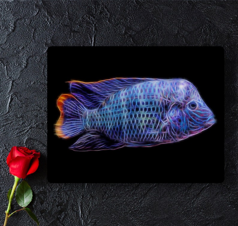 Green Terror Cichlid Aluminium Metal Wall Plaque with Stunning Fractal Art Design. Adinocara Rivulatus image 5