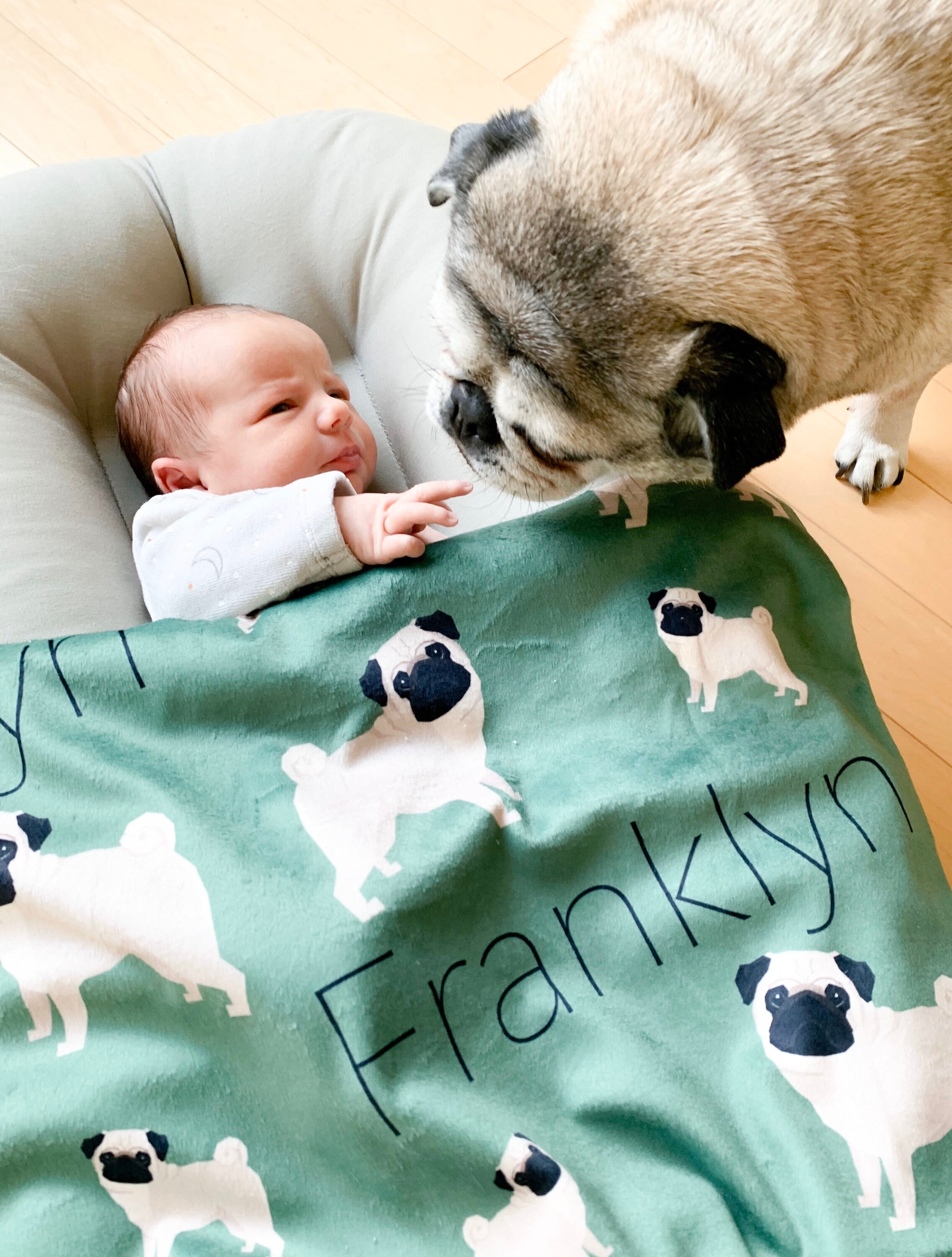 Personalized Baby Blanket // Dog Baby Blanket // Baby Etsy Canada