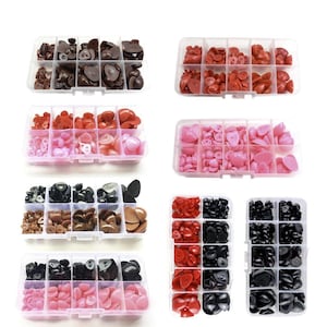 Può includere: Assortimento di occhi di sicurezza in plastica di diverse dimensioni e colori, organizzati in contenitori di plastica trasparente. Gli occhi sono in tonalità di marrone, rosso, nero e rosa.