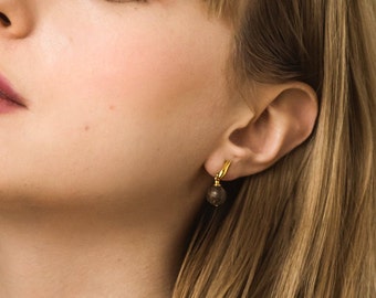 Black Baltic Amber Drop Earrings: Gold Vermeil on Sterling Silver