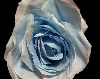 Quirky Cute: Pale Blue Rose  Clip,