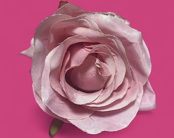 Pince à fleurs roses roses de jardin