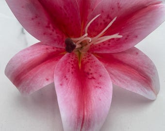 Enkele grote roze tijgerlelie-haarclip: hoofddeksel met tropische bloemen