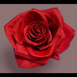 Red rose hair clip, red rose, red rose hair flower, red flower accessories, red flower hair pin, red hair flowers, Rockabilly Rose