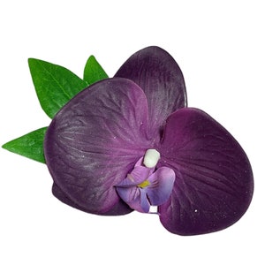 Puede incluir: Una sola orquídea morada con hojas verdes. La orquídea tiene un aspecto texturizado y aterciopelado.