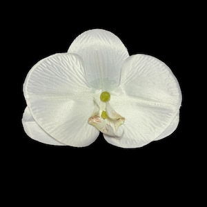 Cream Orchid Hair Clip, Cream hair flowers, wedding hair clip, bridesmaid hair flowers, hawaiian hair flowers
