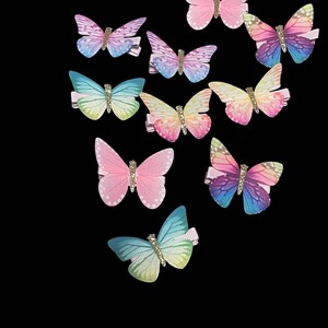 ein Set Schmetterlingsclips x 2, Schmetterlingshaarnadeln, Mix and Match