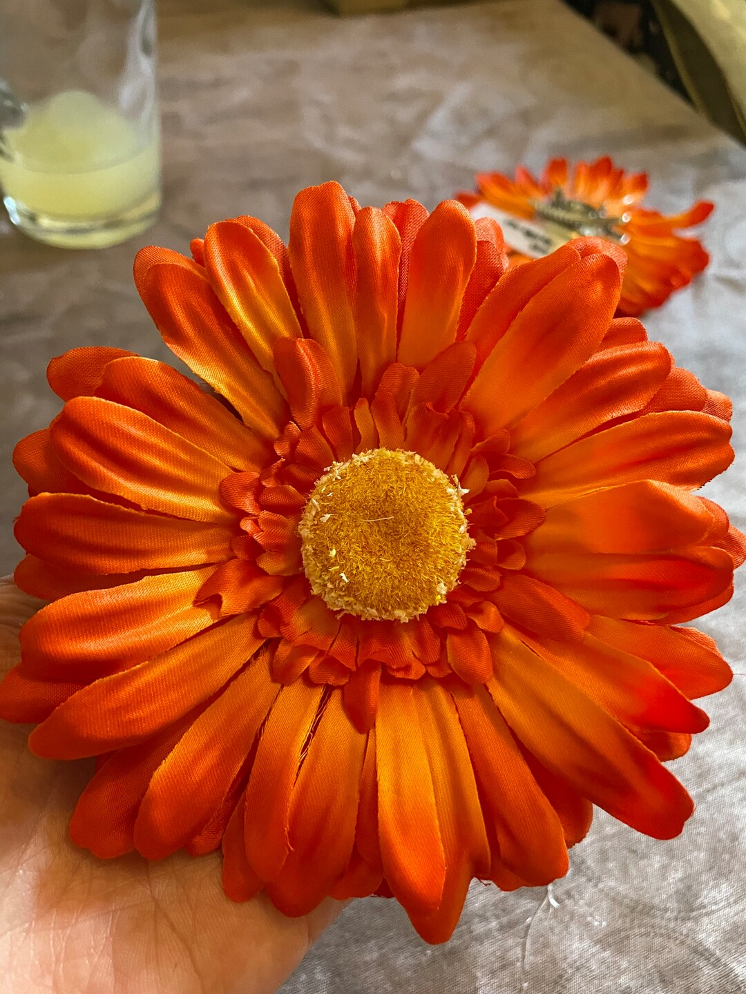 Orange Gerberas Orange Daisy Orange Flower Orange Jacket Etsy