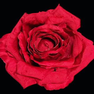 Single Red rose, rose hair flowers, Red rose hair accessories, Red rose hair clips, Red rose hair pins, Red rose bridal hair flowers,
