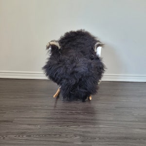 Icelandic sheepskin rug sheepskin rug |Sheepskin throw | soft silky long wool #C70