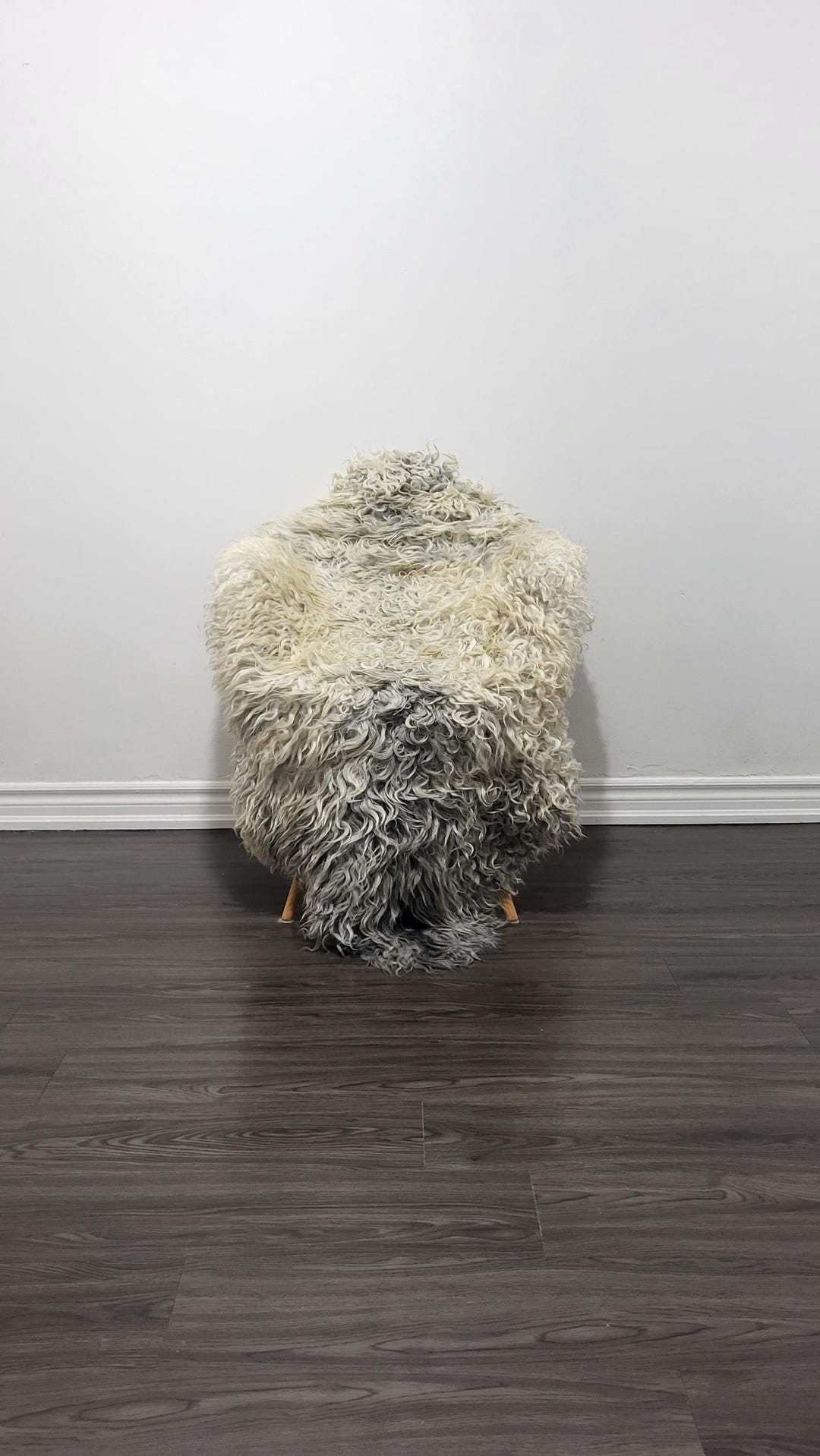 Giant Gotland Sheepskin Rug , Curly Sheepskin Rug, Swedish Rug Soft ...