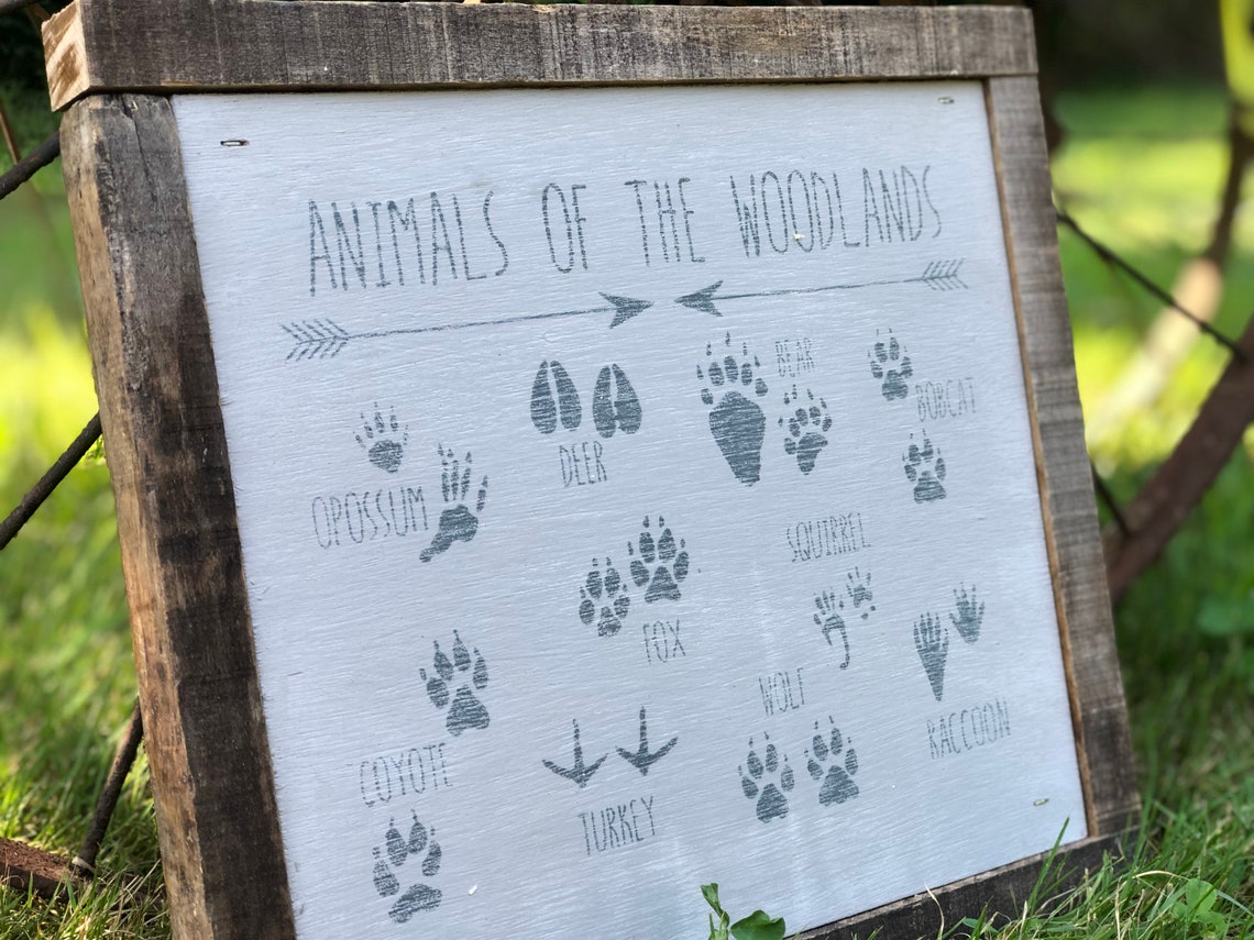 Animals of The Woodlands Sign Framed Nursery Sign Nursery Etsy