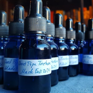 Ghost Pipe Tincture