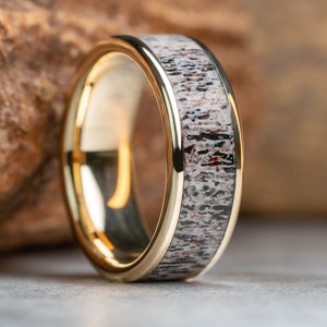 Gouden Colorado elandgeweiring