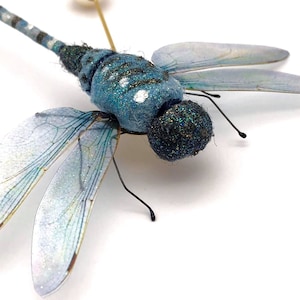 dragonfly wing download for home printing