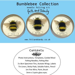 Needle Felt Bumblebee Collection Kit image 4