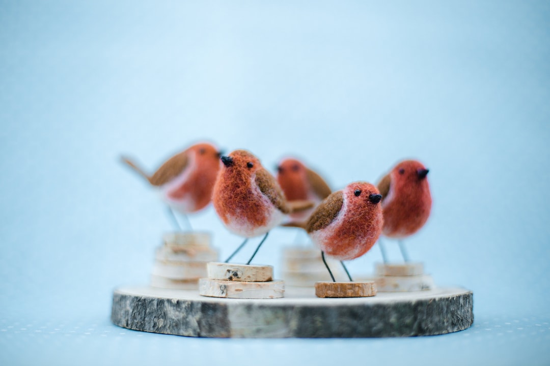 Felt and Dandy Robins Needle Felting Kit Etsy Canada