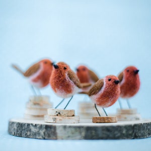 Felt and Dandy Robins needle Felting Kit