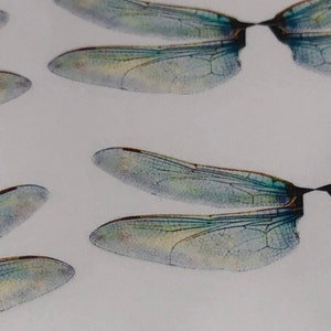 Dragonfly Wings image 5