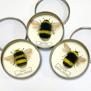 Needle Felt Bumblebee Collection Kit image 1