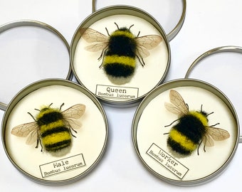 Needle Felt Bumblebee Collection Kit
