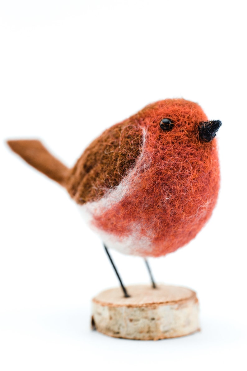 Felt and Dandy Robins Needle Felting Kit Etsy