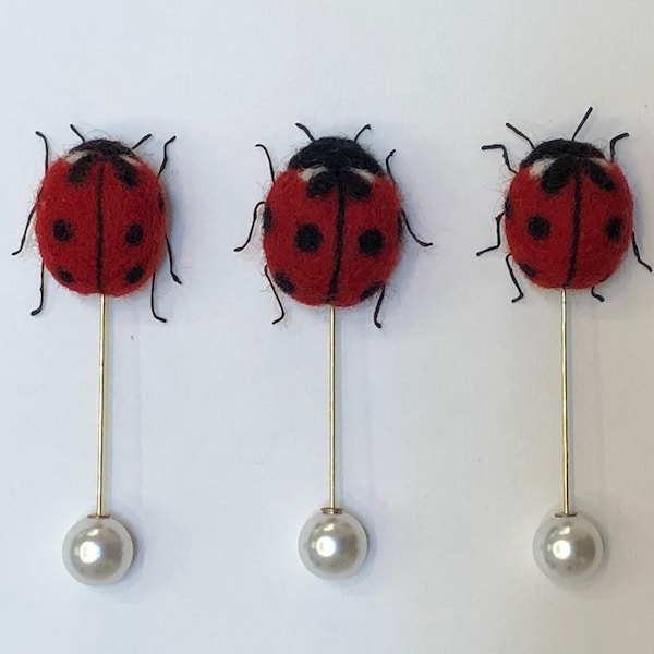 Needle felt Ladybird Bird Brooch Pin Download