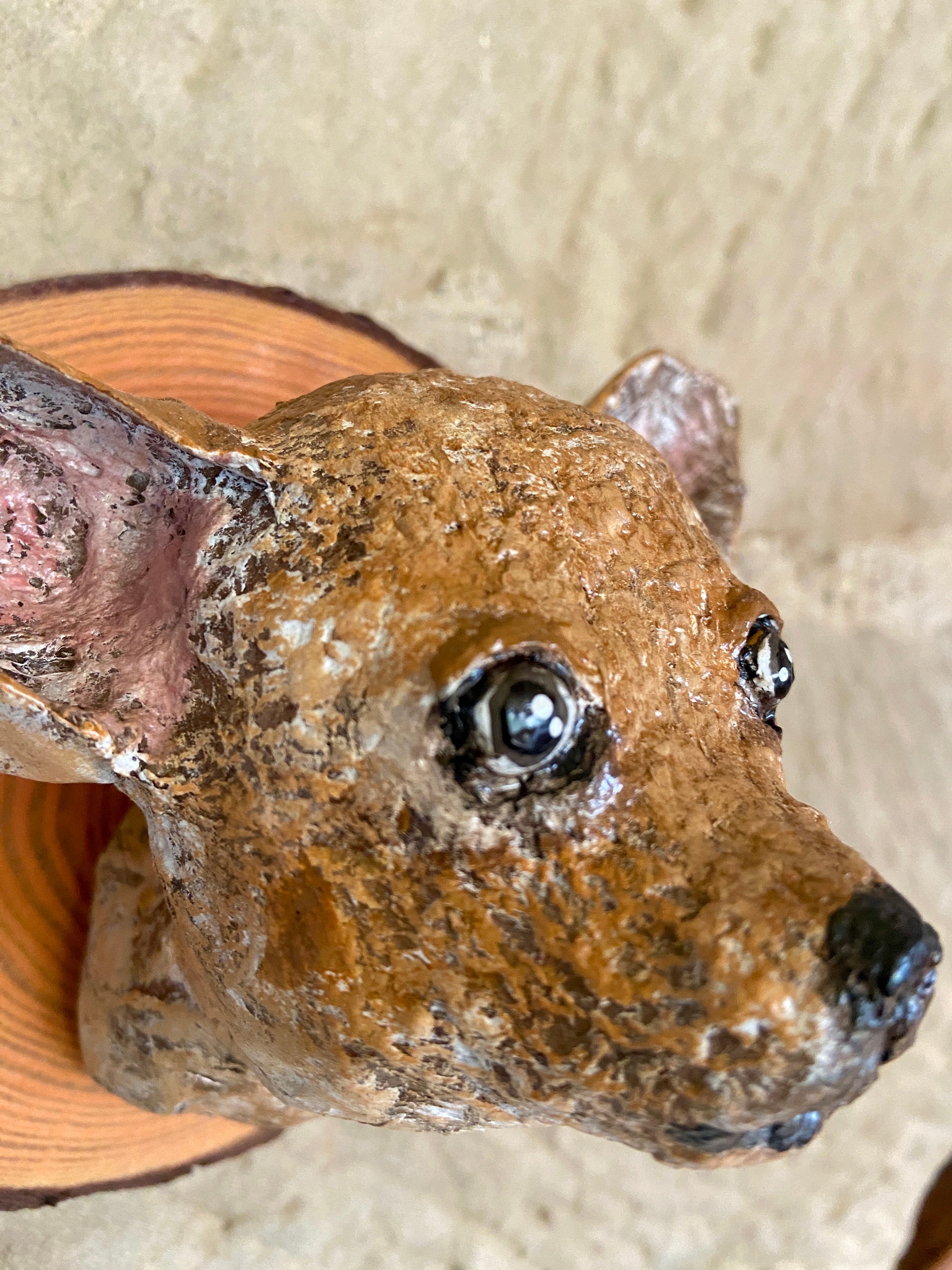 紙粘土のチワワの頭、偽トロフィー、偽剥製、チワワの肖像画、特注犬