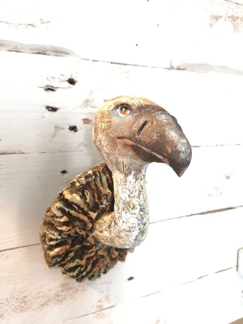 Vulture characteristics personality picture