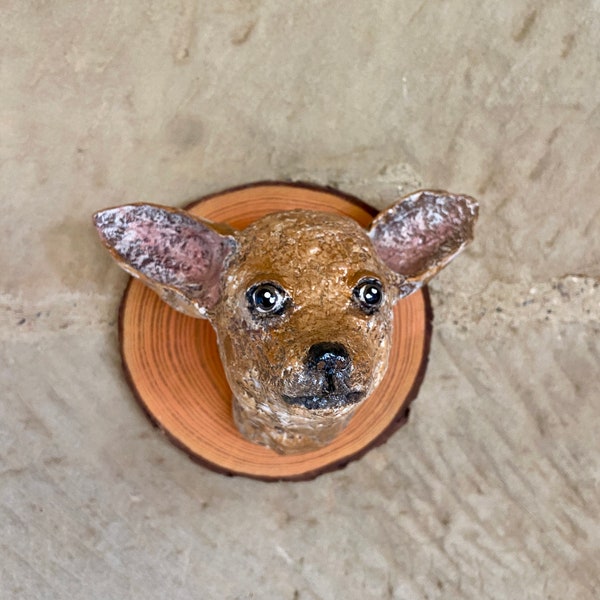 Tête de chihuahua en papier mâché, faux trophée, fausse taxidermie, portrait de chihuahua, chiens personnalisés, artisanat espagnol, collection de chiens