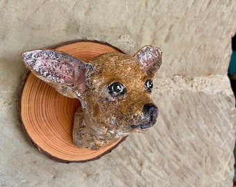 紙粘土のチワワの頭、偽トロフィー、偽剥製、チワワの肖像画、特注犬