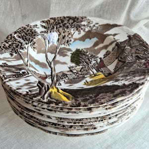 Vintage Grindley Plates Set, Sunday Morning Pattern, English Ironstone Soup Bowls, Cottagecore Tableware, Set of 10